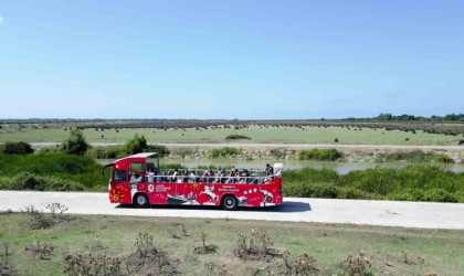 Tesisler hizmete açıldı, Kuş Cennetine ilgi arttı