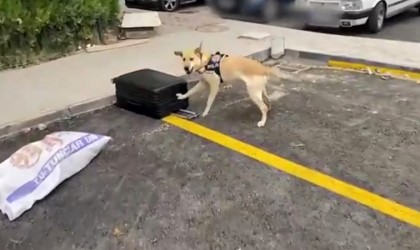 Uyuşturucu maddeyi teslim edemeden yakalandılar: 2 gözaltı