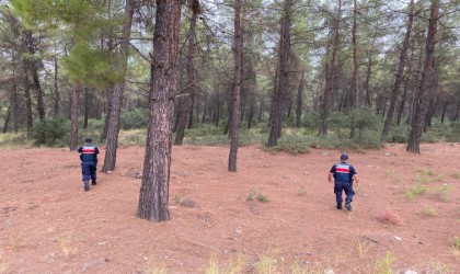 Yasak ormanlık alanlara giren 31 kişi cezadan kaçamadı