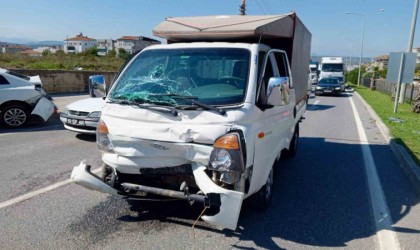 Ana yola çıkan büyükbaş hayvan kazaya neden oldu: 1 yaralı