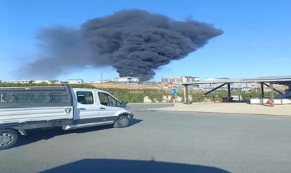 Arnavutköyde otluk alanda çıkan yangın depoya sıçradı