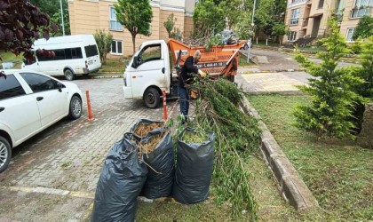 Başiskelede moloz alım günlerine dikkat: Evinizi Yenilerken Evimizi Kirletmeyelim