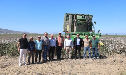 Başkan Arıcı pamuk hasadına katıldı