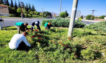 Büyükşehir, yabancı otlarla mücadele ve bakım çalışmalarına hız verdi