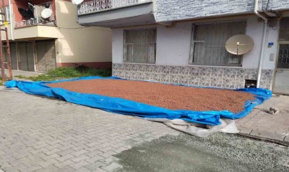 Çarşambada fındık kurutma mesaisi