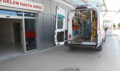 Ceviz toplamak için çıktığı ağaçtan düşerek yaralandı