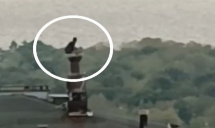 Cezaevi firarisi polisten kaçarken çıktığı çatıdaki bacanın üzerinde yakalandı