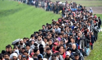 Göç alanında uzmanların yetiştirileceği program açıldı