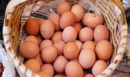 Haftada 1den fazla yumurta yiyenlerde Alzheimer riski yüzde 47 daha düşük bulundu