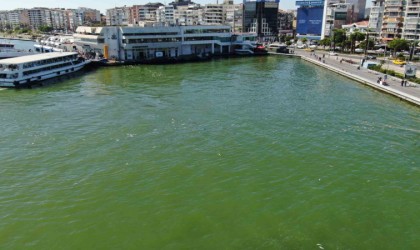 İzmir Körfezinde bilindik manzara: Yine binlerce ölü balık görüldü