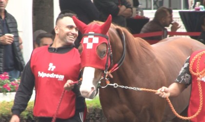 Kendilerinden önce fiyatları koştu, safkan 30 taydan sadece 3ü satıldı