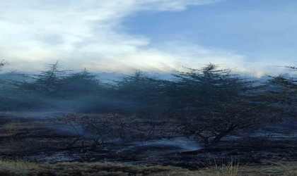 Kırşehirde 50 dönümlük alan yangında yok oldu