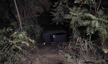 Kontrolden çıkan otomobil dereye uçtu: 1 yaralı