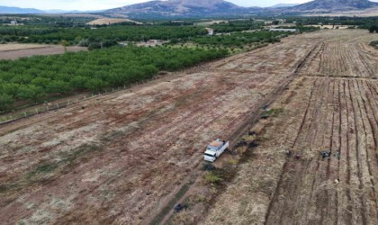 Malatyada üretilen soğanlar Avrupaya ihraç ediliyor