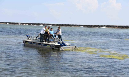 Samsunda müsilaj sorununa neşter