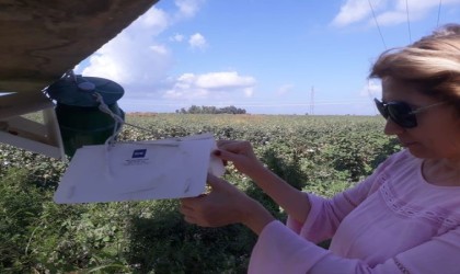 Sökede tarımsal zararlılarla mücadele kapsamında yoğun denetim