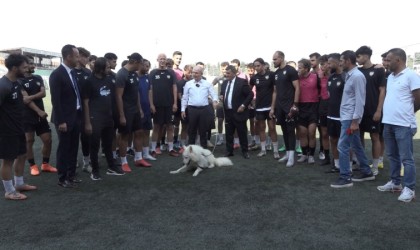 Tepecik Sporun sahiplendiği sevimli köpek takımın maskotu oldu