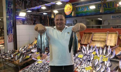 Tezgahlarda palamut bereketi