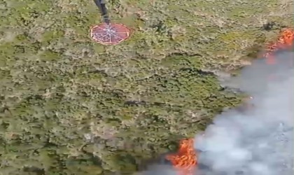 Urlada orman yangını