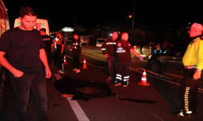 Yalovada feci kaza: Minibüsün çarptığı 2 kişi hayatını kaybetti