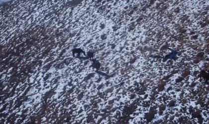 Bayburt ve Erzincanın yüksek kesimlerine kar yağdı