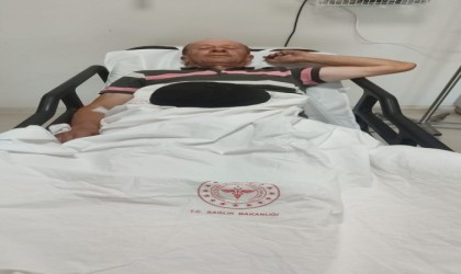 Bilecikte domuzları avlayan 1 avcı yaralandı