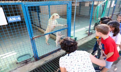 Bodrumda 186 öğrenci patili dostlarıyla vakit geçirdi