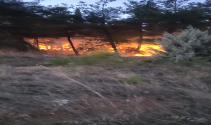 Bursada korkutan orman yangını