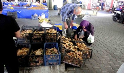 Çıntarlar pazar tezgahlarında yerini aldı