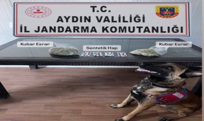 Delta, valizdeki uyuşturucuyu buldu