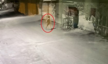 Eski çalıştığı iş yerinden kamyoneti alıp 90 kilometrelik gece turu yapan şahıs adli kontrolle serbest