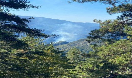 Hatayda orman yangını