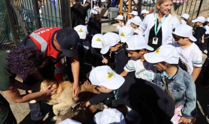 Hayvanları Koruma Gününde anlamlı etkinlik