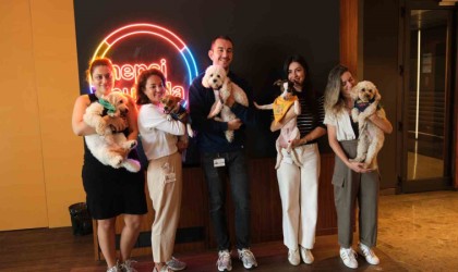 Hepsiburadadan 4 Ekim Hayvanları Koruma Gününde dayanışma çağrısı