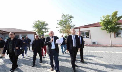 İnegölde sokak hayvanları için yeni adım