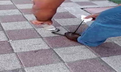 Kahvehaneye giren yılanı vatandaş yakaladı