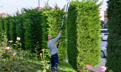 Meramın park ve bahçelerine kış bakımı