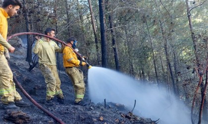 Mersinde orman yangını havadan ve karadan müdahaleyle söndürüldü