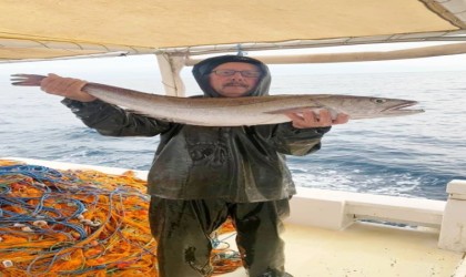 Midillide bulunan cesedin Ayvalıklı kayıp balıkçıya ait olup olmadığı araştırılıyor