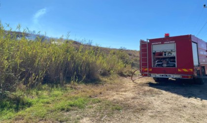 Parkta çıkan yangın makilik alana sıçradı