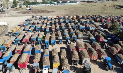 Şeker pancarının tarladan sofraya uzanan tatlı yolculuğu