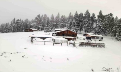 Türkelinin yaylalarında mahsur kalanlar kurtarıldı