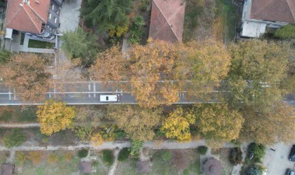 Ata yadigarı Çınarlı Hıyaban her mevsim ayrı güzel