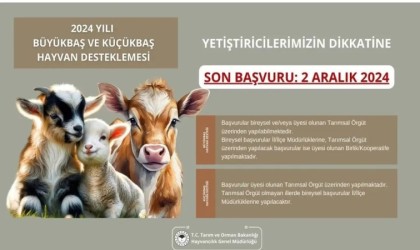 Aydın İl Tarım ve Orman Müdürlüğünden destekleme başvuruları için son gün uyarısı