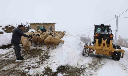 Battalgazi Belediyesi Karagöz Mahallesinde seferberlik başlattı