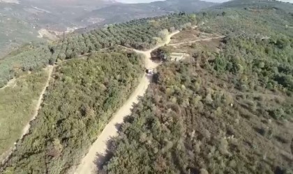Bursada zeytin hırsızlarına dronlu denetim