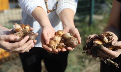 Büyükşehir Belediyesinden kadın girişimcilere tarımsal destek