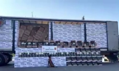 Değeri 15 milyon: Adanadan, Sakaryaya getirilirken yakalandı