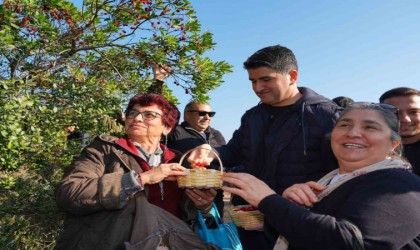Doğaseverler 438 metre yüksekliğindeki Kayışdağı Ormanında dağ çileği topladı