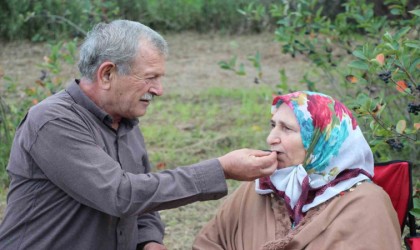 Eşinin rahatsızlığı için ektiği meyvenin taleplerine yetişemiyor